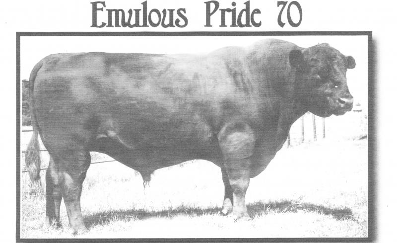 Emulous Pride 70
