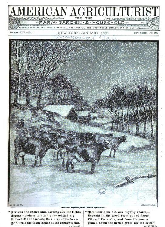 arrives the snow